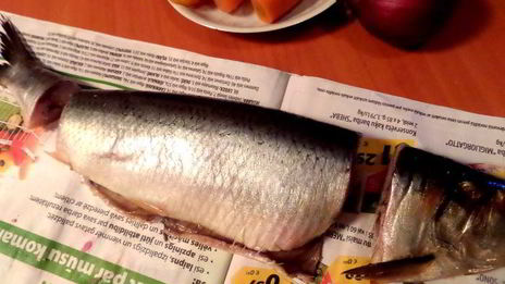 салат селедочка в наряде санта клауса