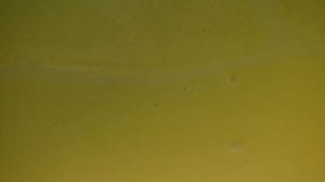 салатная заправка с листьями редиса