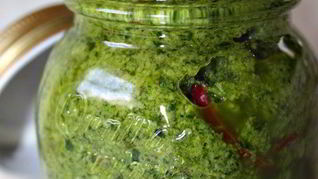 Песто из зелени петрушки с перцем чили