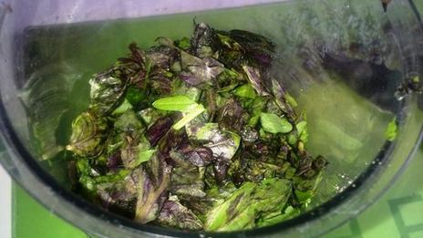 рисовое песто