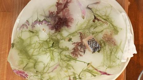 строганина, тартар и солонина из омуля на льду