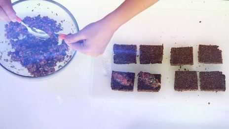 тартар из говядины