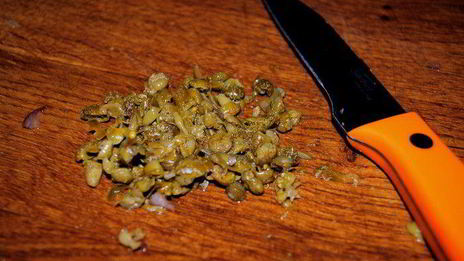 тартар из лосося c салатом рукола-помидоры