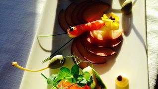 Тартар из тунца в авокадо