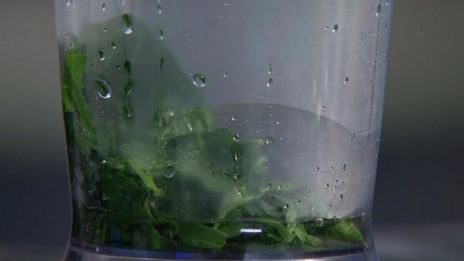 соус винсен