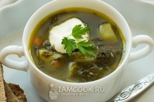 Зеленый борщ без мяса