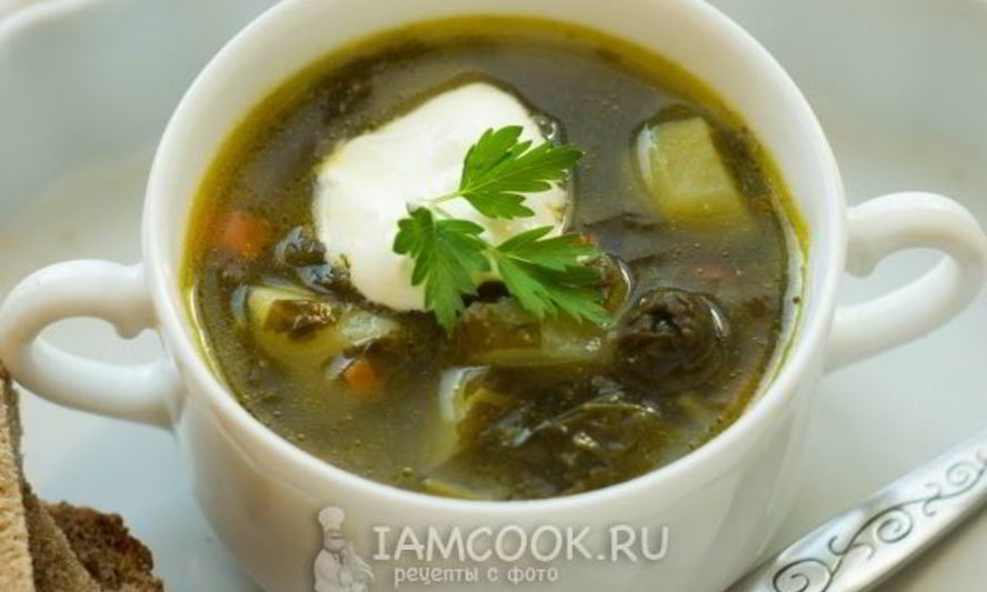 Рецепт зеленого борща без мяса