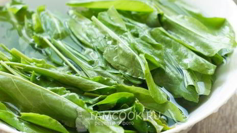 зеленый борщ без мяса