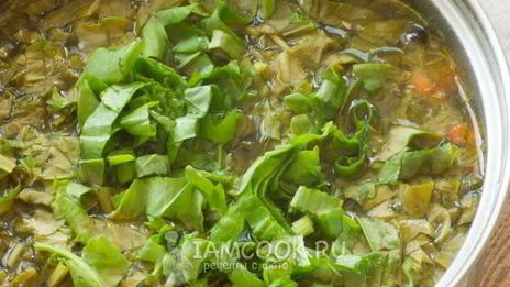 зеленый борщ без мяса