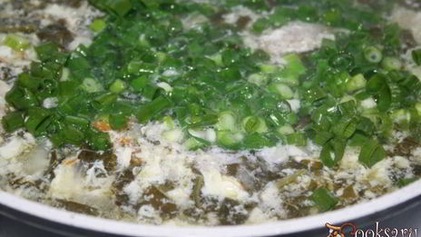 зеленый борщ со щавелем и виноградными листьями