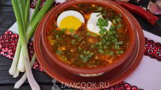Зеленый борщ со щавелем и яйцом