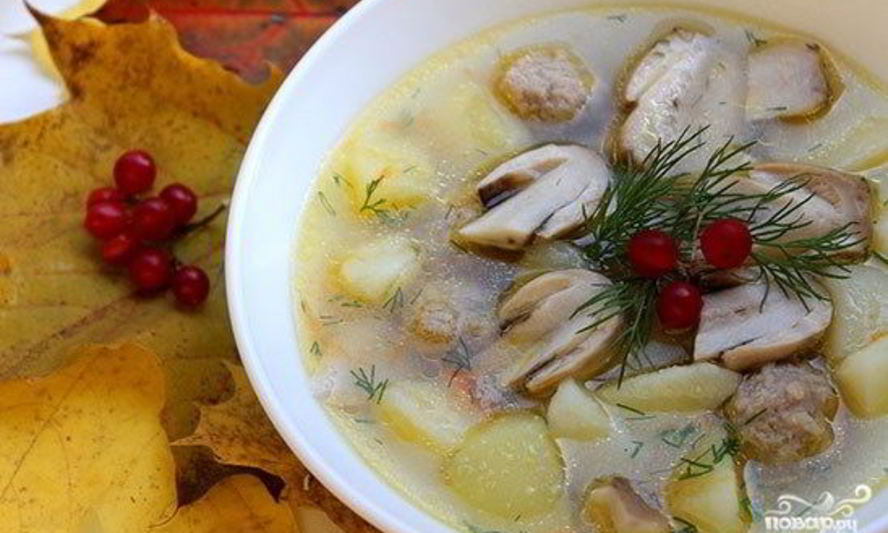 Рецепт супа из белых грибов на мясном бульоне