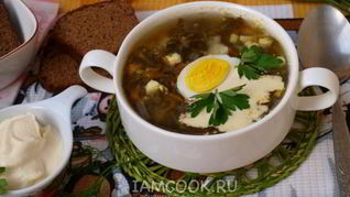 Зеленый борщ со щавелем на мясном бульоне