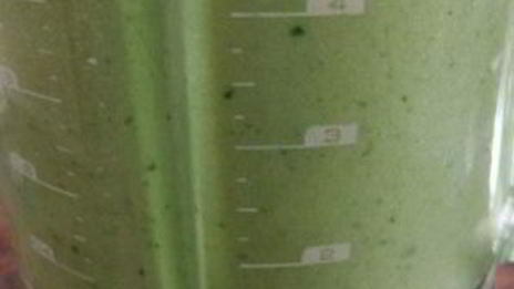 зеленый гаспачо для сыроедов