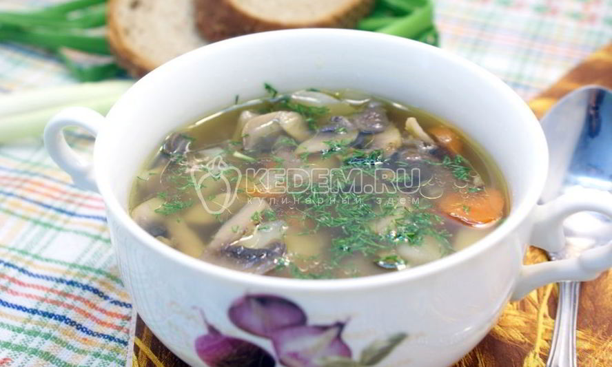 Рецепт грибного супа