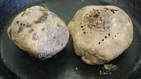 холодник из свеклы на кефире