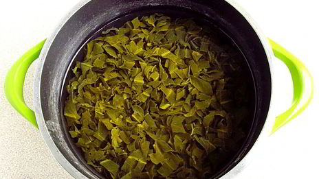 холодник со щавелем