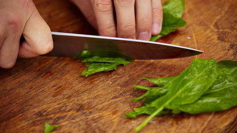 холодный крем-суп из свеклы с щавелем