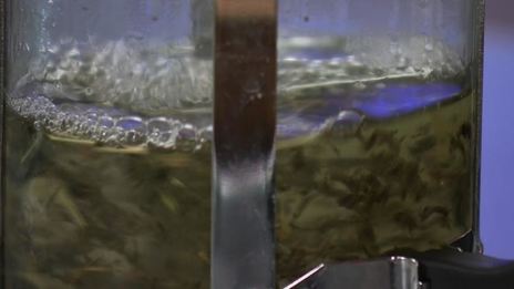 холодный суп из персиков