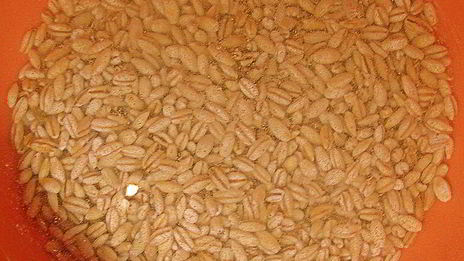 рассольник с телятиной и сушеными грибами