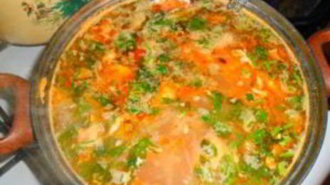 капустные щи