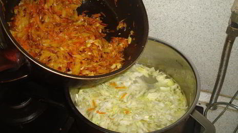 кислые деревенские щи