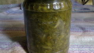 Щавель для летних щей зимой