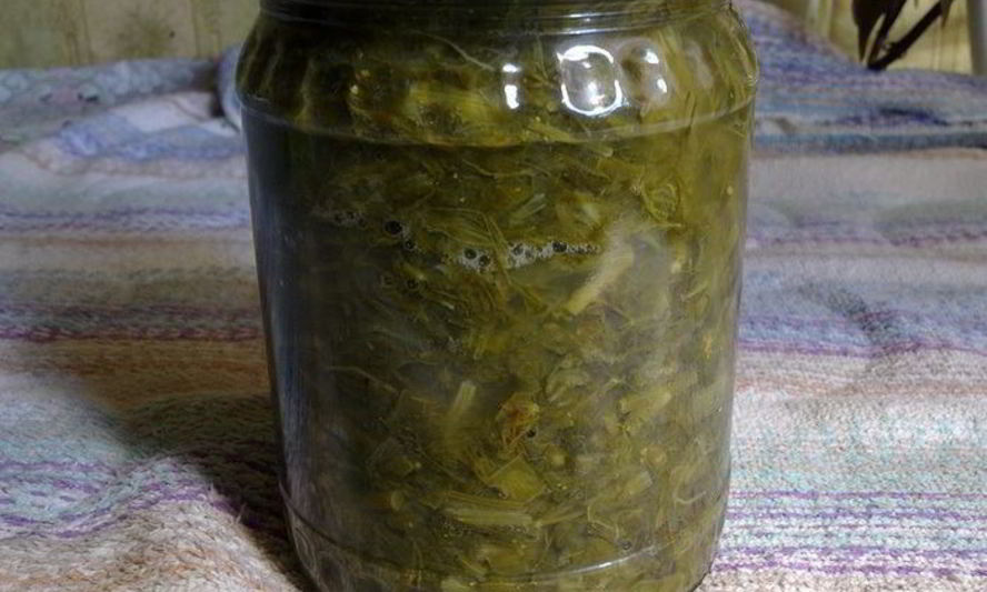 Рецепт щавеля для летних щей зимой