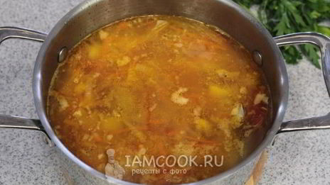 щи из кислой капусты со свининой