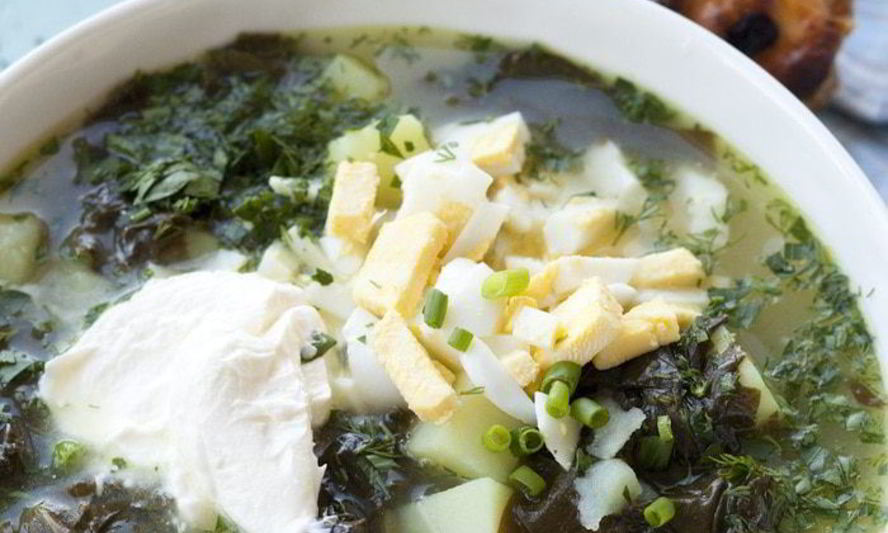 Рецепт щей из щавеля