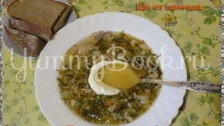 Щи из щеницы