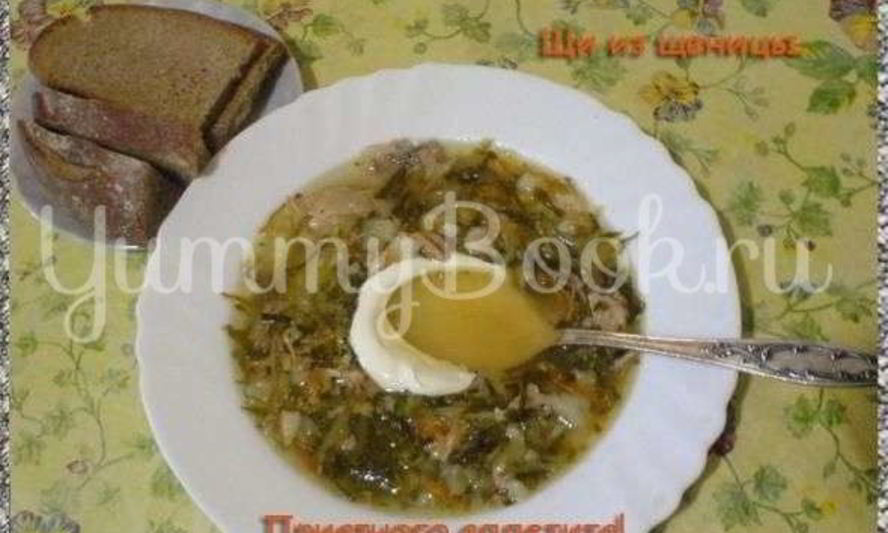 Рецепт щей из щеницы