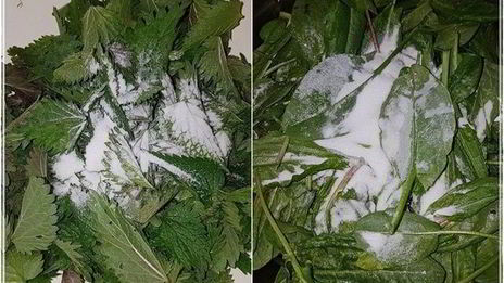 щи с крапивой, щавелем и говяжьими ребрышками