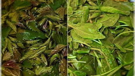 щи с крапивой, щавелем и говяжьими ребрышками