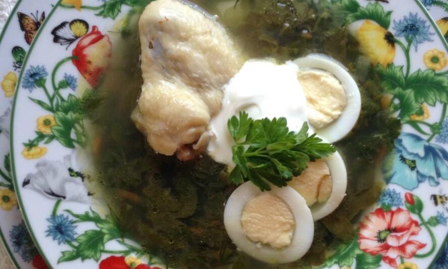 Рецепт щей зеленых с крапивой на курином бульоне