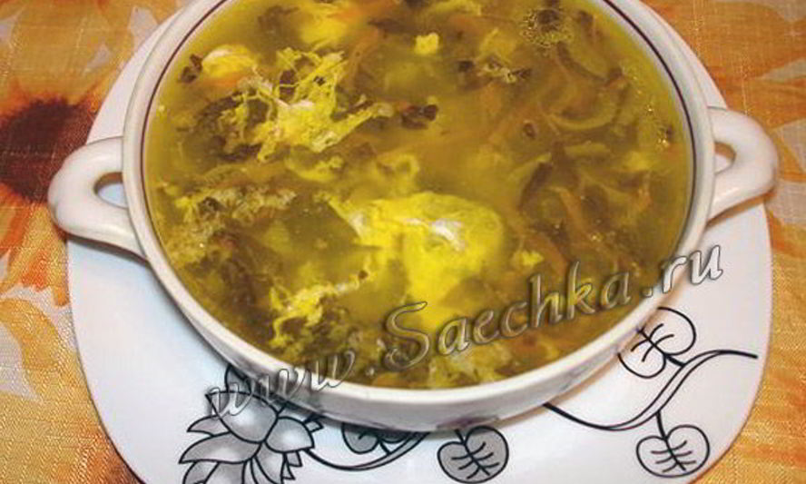 Рецепт зеленых щей из щавеля