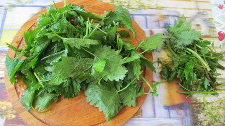 зеленые щи с потрошками