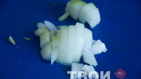 солянка грузинская