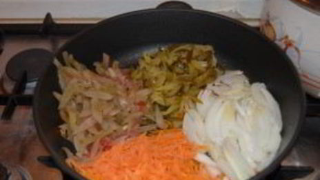 солянка казачья