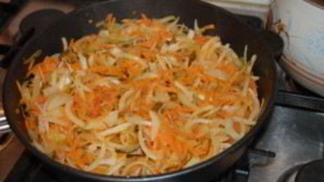 солянка казачья