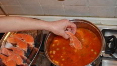 солянка казачья