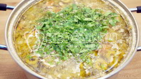 солянка сборная