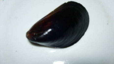 суп из мидий