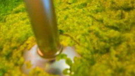 суп-пюре из брокколи и шпината