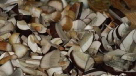 суп-пюре из лесных грибов