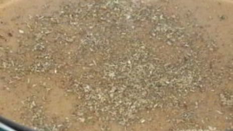 суп-пюре из лесных грибов