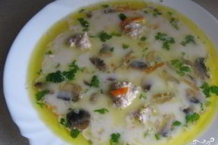 Суп с фрикадельками и грибами