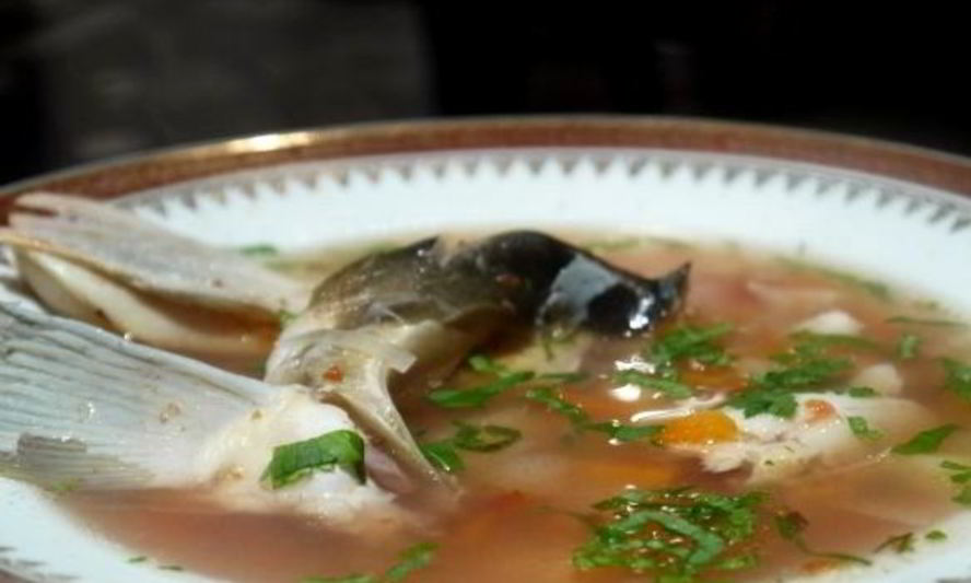 Рецепт ухи из головы сазана