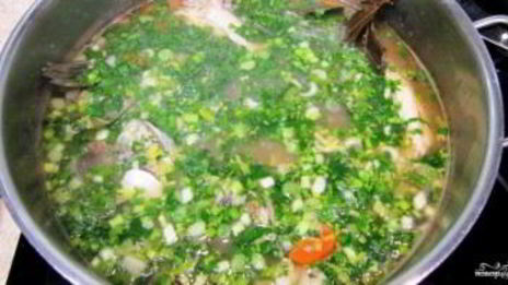 уха из головы сазана