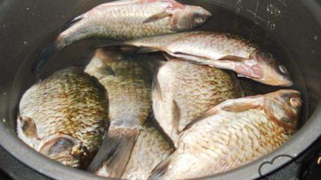 уха из карасей